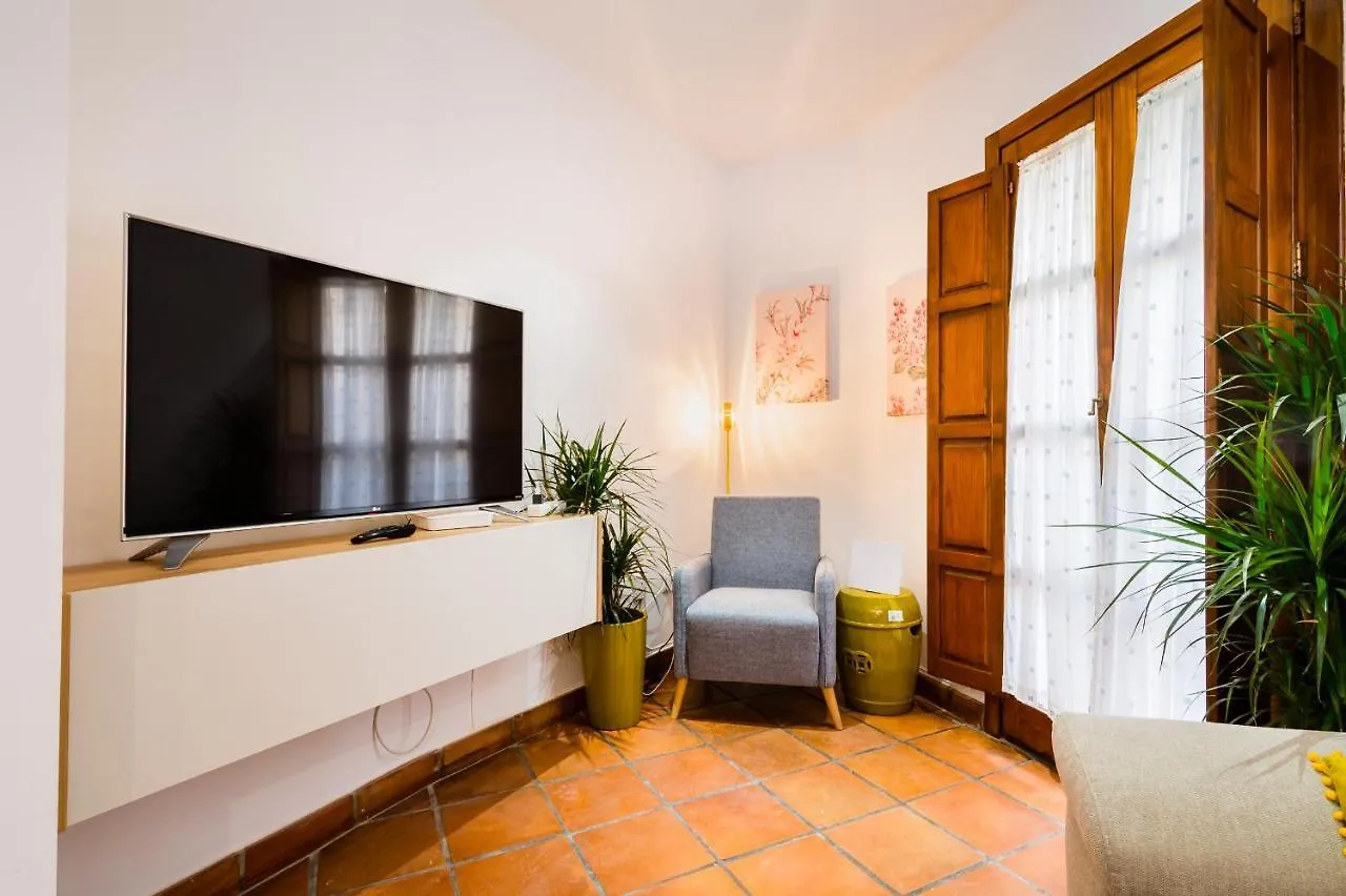 Duplex Deluxe Sevilla Center & Parking Opcional Apartment Seville