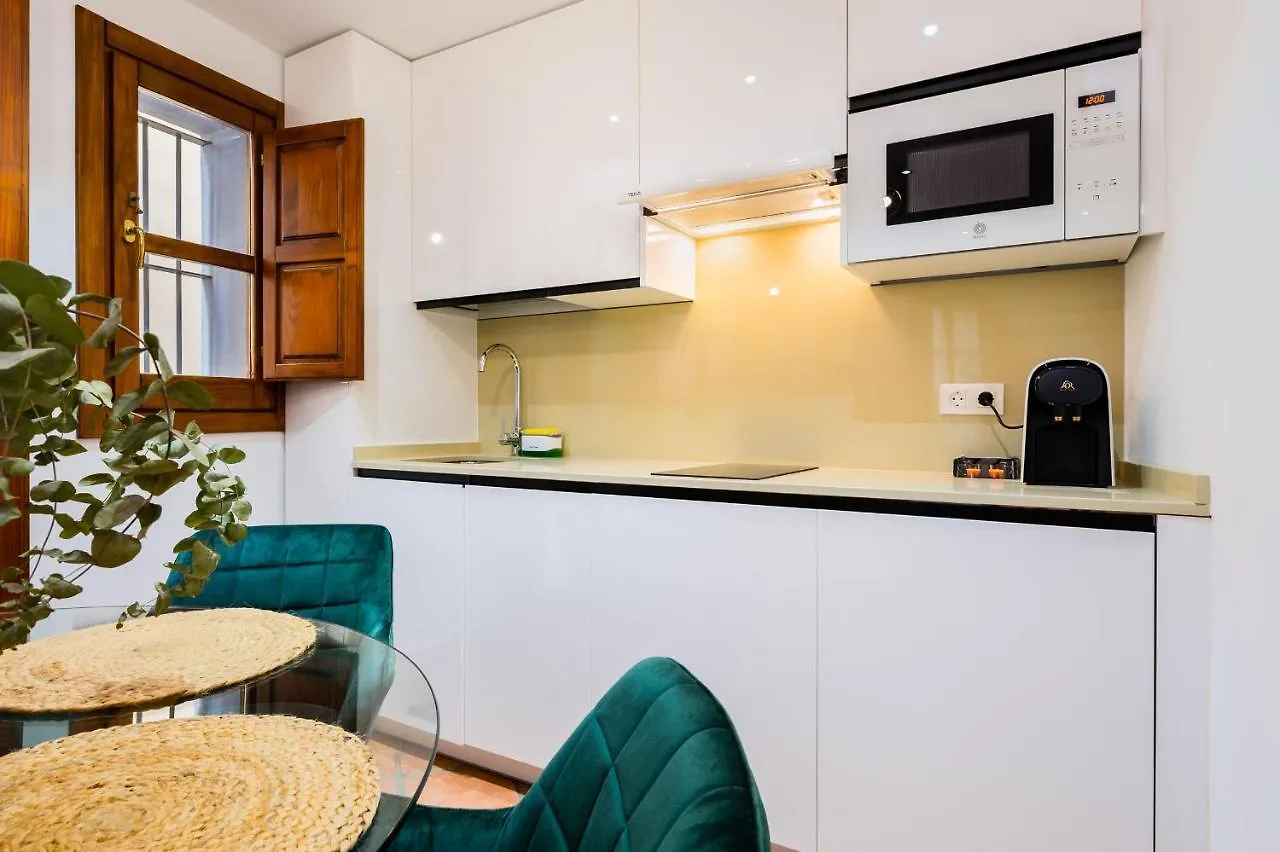 Duplex Deluxe Sevilla Center & Parking Opcional Apartment Seville